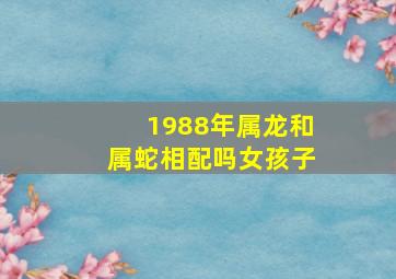 1988年属龙和属蛇相配吗女孩子