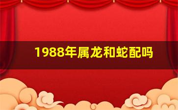 1988年属龙和蛇配吗