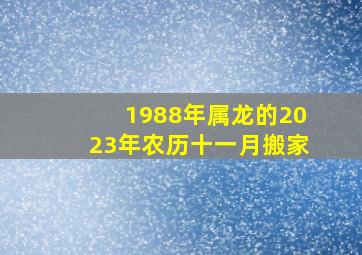 1988年属龙的2023年农历十一月搬家