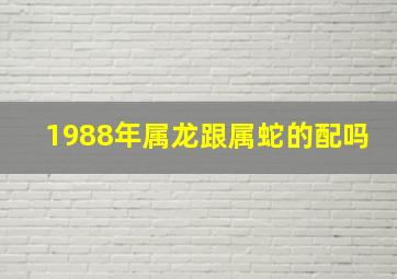 1988年属龙跟属蛇的配吗