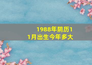 1988年阴历11月出生今年多大