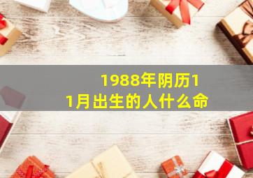 1988年阴历11月出生的人什么命