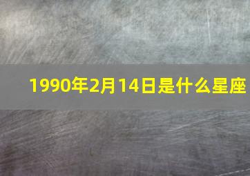 1990年2月14日是什么星座