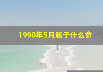 1990年5月属于什么命