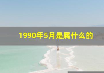 1990年5月是属什么的