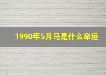 1990年5月马是什么命运