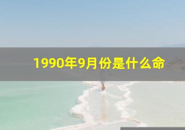 1990年9月份是什么命