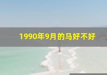 1990年9月的马好不好