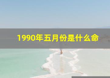 1990年五月份是什么命