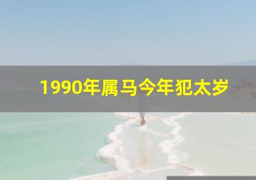 1990年属马今年犯太岁