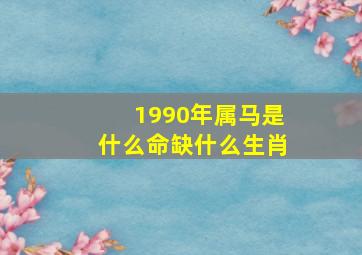 1990年属马是什么命缺什么生肖