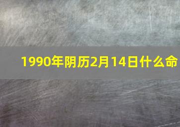 1990年阴历2月14日什么命