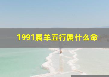 1991属羊五行属什么命