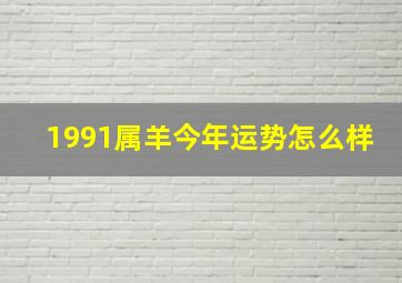 1991属羊今年运势怎么样