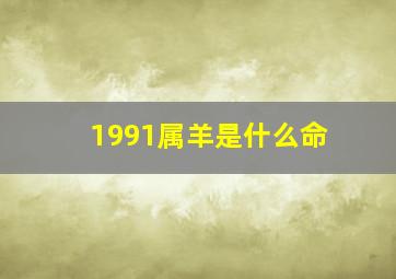 1991属羊是什么命