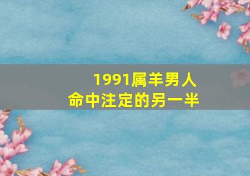 1991属羊男人命中注定的另一半