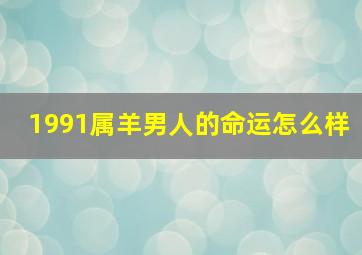 1991属羊男人的命运怎么样