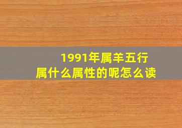 1991年属羊五行属什么属性的呢怎么读