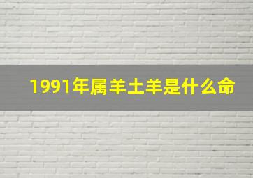 1991年属羊土羊是什么命