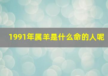 1991年属羊是什么命的人呢