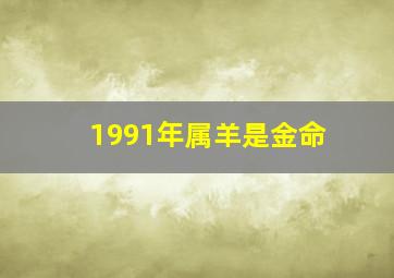 1991年属羊是金命