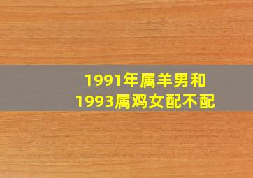 1991年属羊男和1993属鸡女配不配