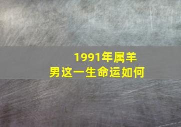 1991年属羊男这一生命运如何