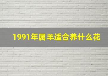 1991年属羊适合养什么花