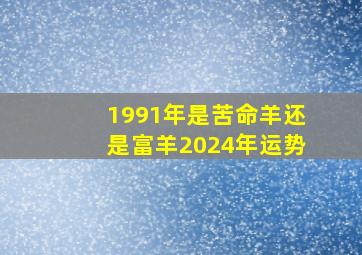 1991年是苦命羊还是富羊2024年运势