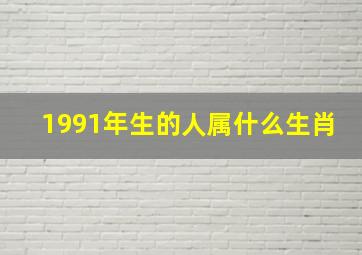 1991年生的人属什么生肖