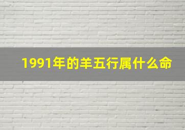 1991年的羊五行属什么命