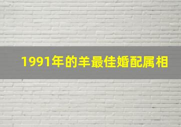 1991年的羊最佳婚配属相