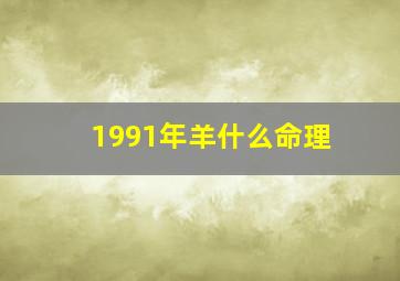 1991年羊什么命理