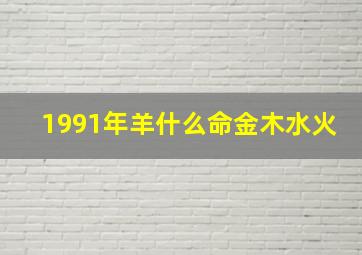 1991年羊什么命金木水火