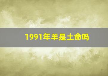 1991年羊是土命吗