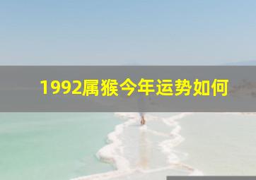 1992属猴今年运势如何