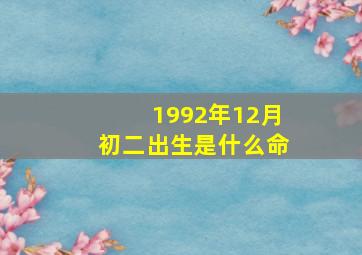 1992年12月初二出生是什么命