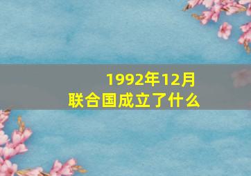 1992年12月联合国成立了什么