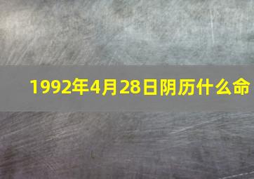 1992年4月28日阴历什么命