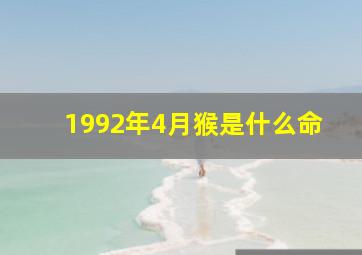 1992年4月猴是什么命