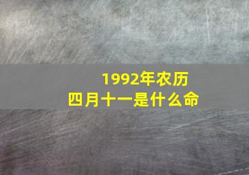 1992年农历四月十一是什么命