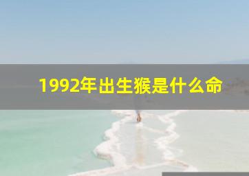 1992年出生猴是什么命