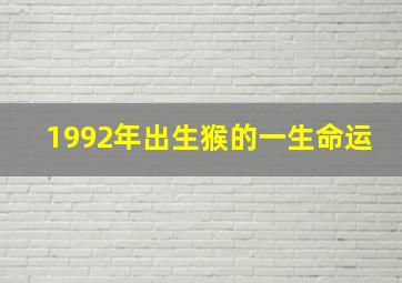 1992年出生猴的一生命运