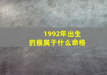 1992年出生的猴属于什么命格