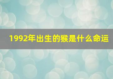 1992年出生的猴是什么命运