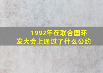 1992年在联合国环发大会上通过了什么公约