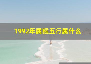 1992年属猴五行属什么