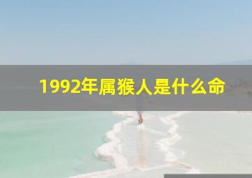 1992年属猴人是什么命