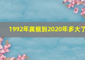 1992年属猴到2020年多大了