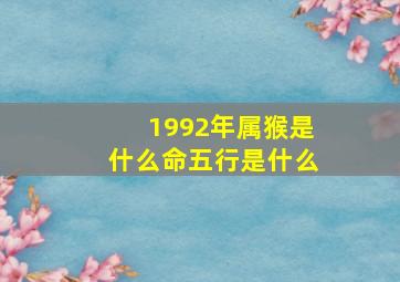 1992年属猴是什么命五行是什么